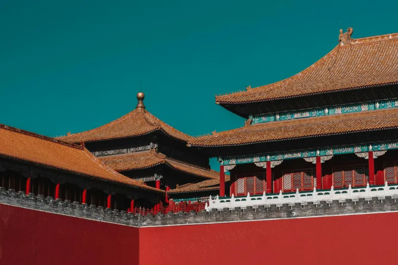 Eating the Competent: Why History's Most Ruthless Purges Always Destroyed Their Own Architects