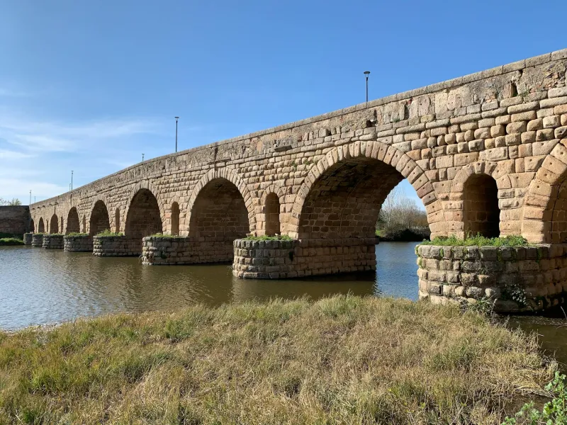 The Guardians Who Became Kings: Why Military Protectors Repeatedly Claim the Crown