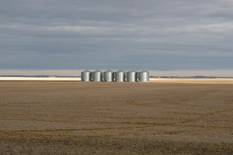 Seeds of Famine: The Agricultural Commandeering That Transforms Nations Into Graveyards
